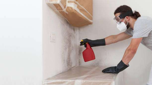 Professional Mold Inspection And Testing technician working in Dover, MA